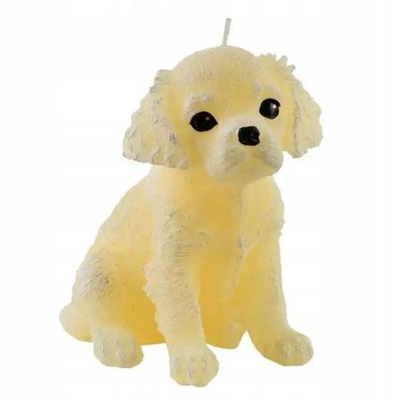 Świeca Figurka ANIMALS PIES SPANIEL 11x14cm kremowa parafinowa BC2751